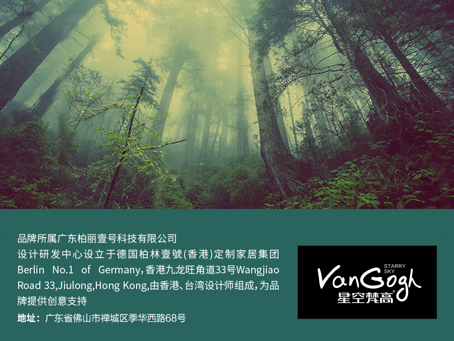 星空梵高 輕奢風(fēng)格 頭層真皮軟床 夢(mèng)之巴黎 YP603#