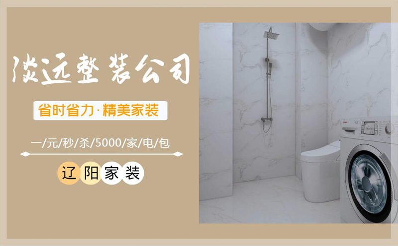 遼陽小戶型的浴室裝修設計 遼陽小戶型的浴室裝修設計