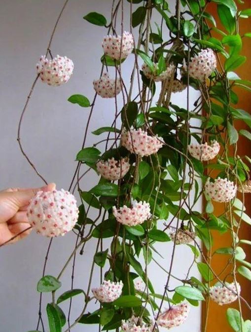 遼陽(yáng)裝修設(shè)計(jì)